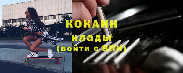 ешки Алексин