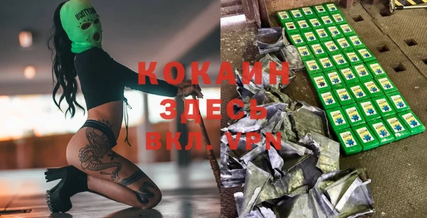 ешки Алексин