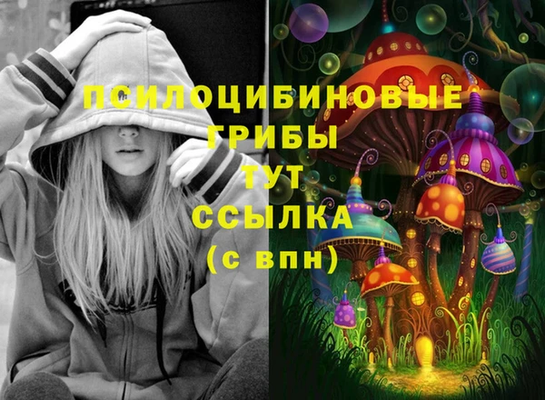 ешки Алексин