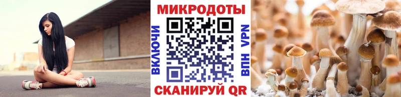 Галлюциногенные грибы Cubensis  кракен как зайти  Петровск  купить наркотики сайты 